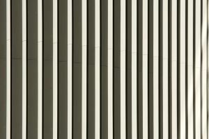 pexels-jan-van-der-wolf-11680885-19432418